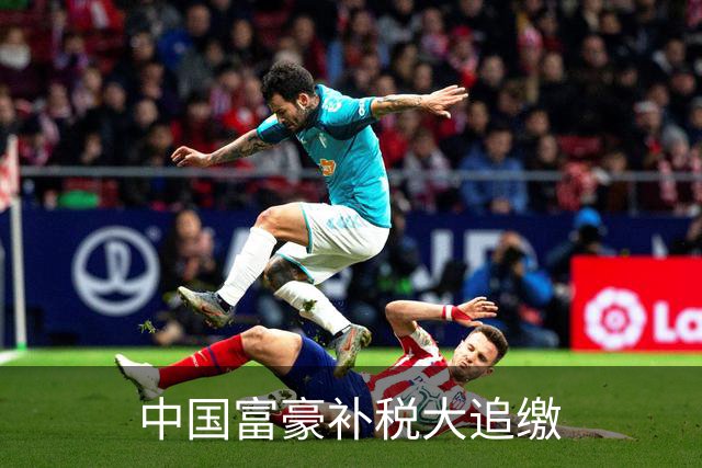 中国富豪补税大追缴