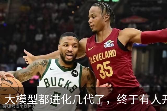 大模型都进化几代了，终于有人开始换个思路造智驾芯片。