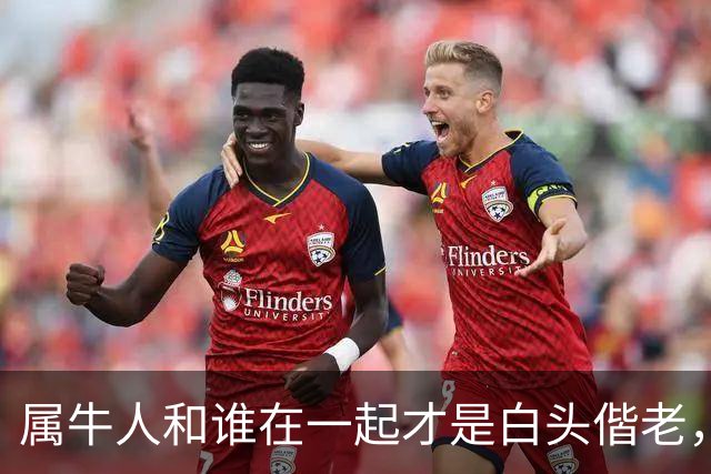 属牛人和谁在一起才是白头偕老，幸福生活到晚年