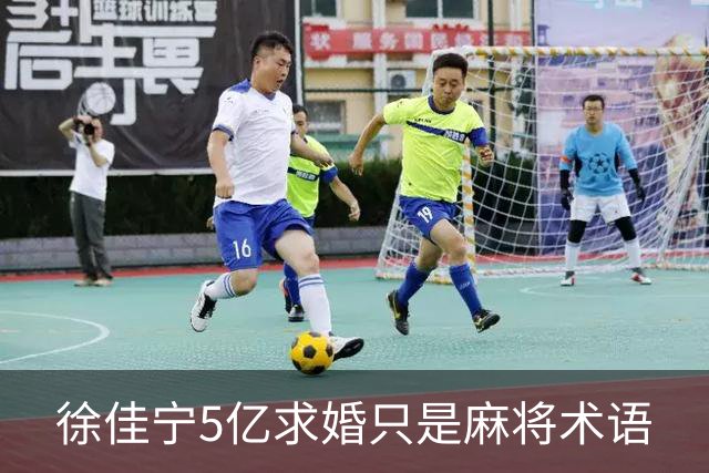 徐佳宁5亿求婚只是麻将术语