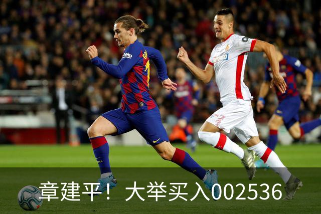 章建平！大举买入002536
