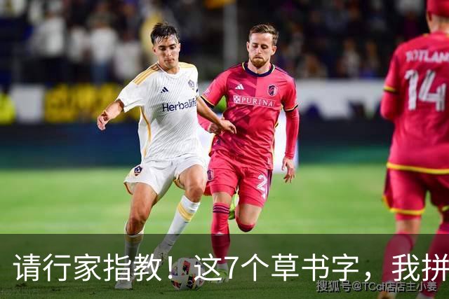 请行家指教！这7个草书字，我拼尽全力也只认出3个！能全认出的，肚子里是真有墨水。练草书到底应该先抓字法，还是先练笔力？