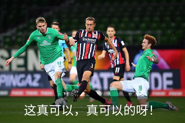 这真可以，真可以的呀！