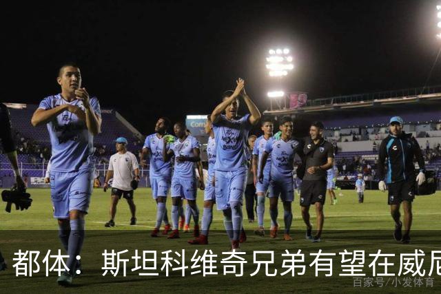 都体：斯坦科维奇兄弟有望在威尼斯与国米比赛中同场竞技