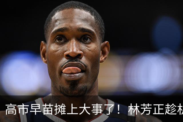 高市早苗摊上大事了！林芳正趁机逼宫高市，要为远大前程撒手一搏