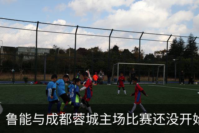 鲁能与成都蓉城主场比赛还没开始踢，这位王牌队长就决定提前结束本赛季征程
